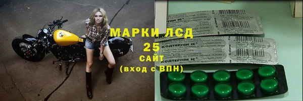 дживик Богородск
