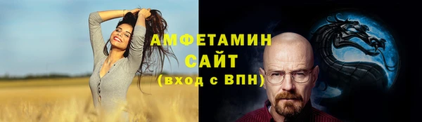 дживик Богородск