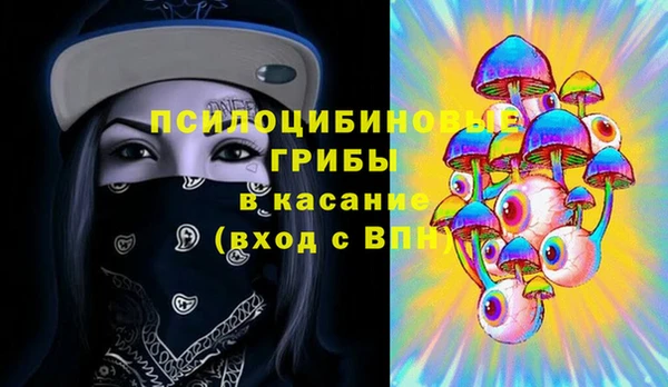 марки lsd Белокуриха